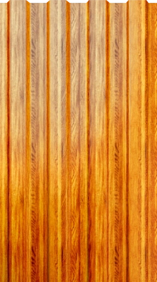 Профнастил С-8 ECOSTEEL® матовый